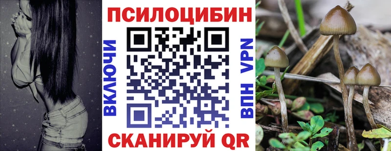 Псилоцибиновые грибы MAGIC MUSHROOMS  Комсомольск-на-Амуре 